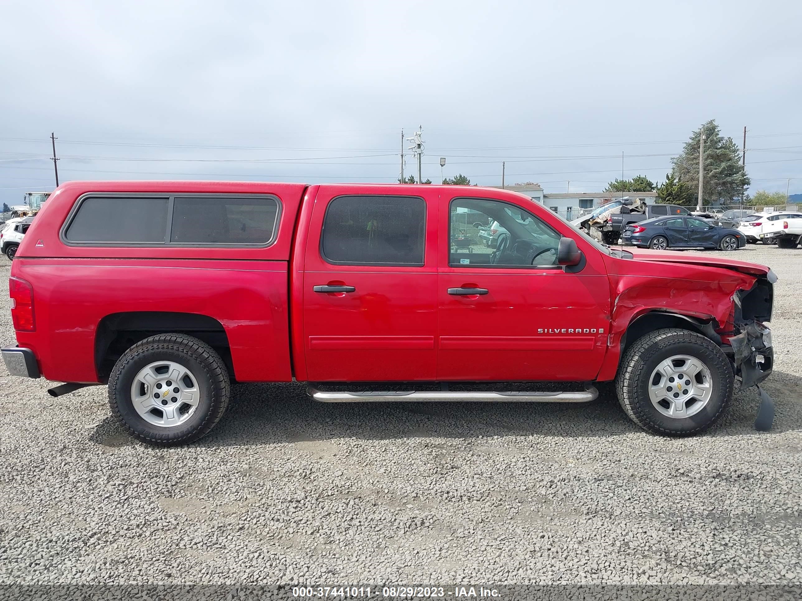 Photo 12 VIN: 3GCEK23M19G254495 - CHEVROLET SILVERADO 