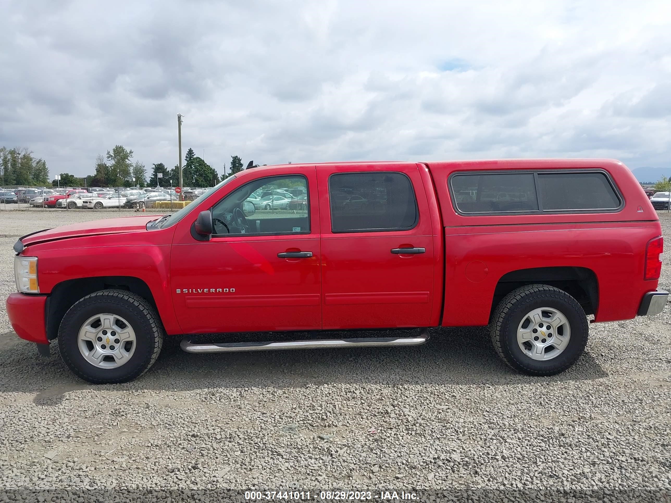 Photo 13 VIN: 3GCEK23M19G254495 - CHEVROLET SILVERADO 