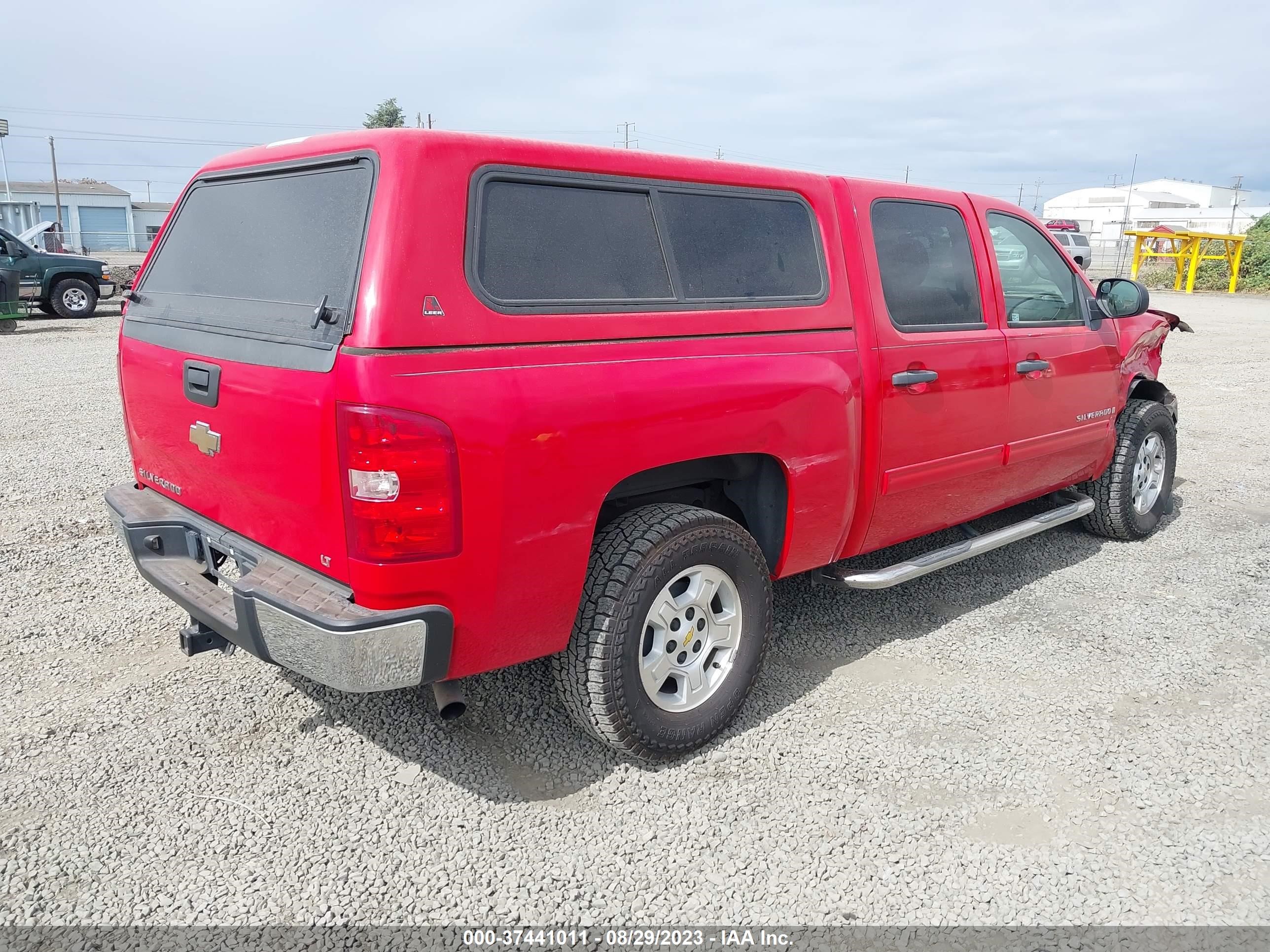 Photo 3 VIN: 3GCEK23M19G254495 - CHEVROLET SILVERADO 