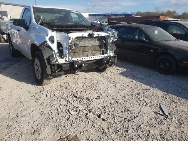 Photo 0 VIN: 3GCNWAEF3LG317441 - CHEVROLET SILVERADO 