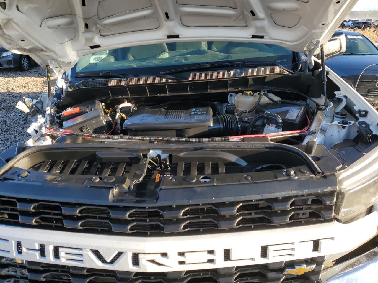 Photo 10 VIN: 3GCNWAEF9LG273753 - CHEVROLET SILVERADO 