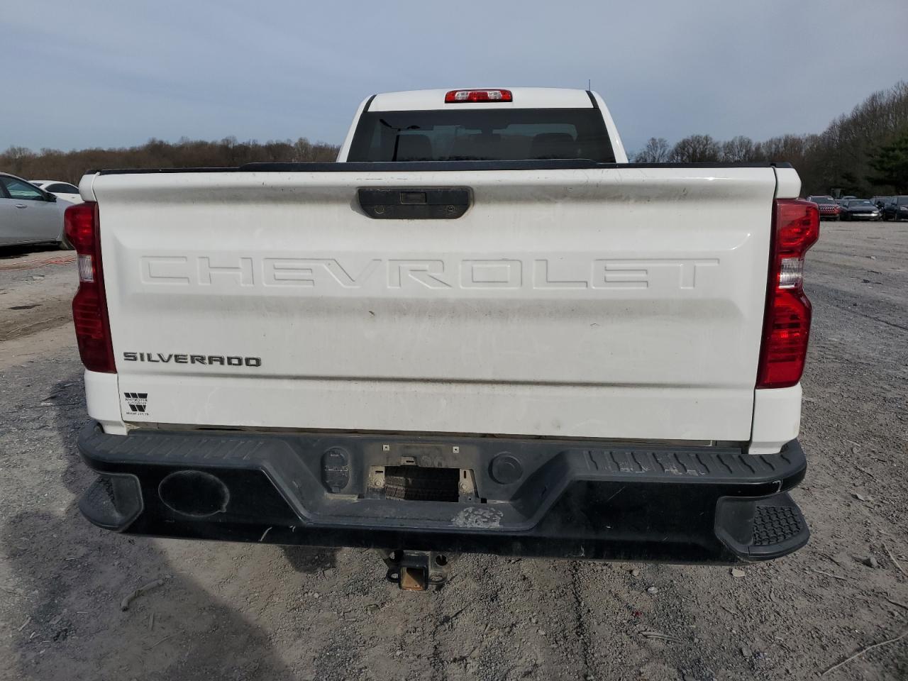 Photo 5 VIN: 3GCNYAEF6LG104798 - CHEVROLET SILVERADO 