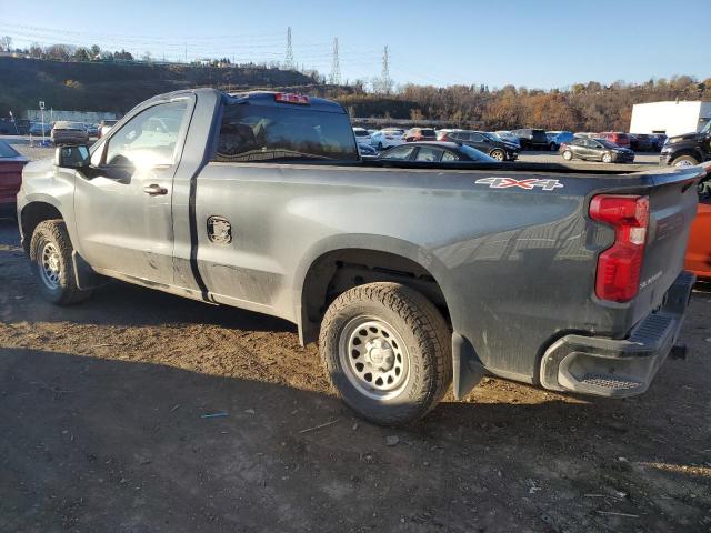 Photo 1 VIN: 3GCNYAEH2LG117288 - CHEVROLET SILVERADO 