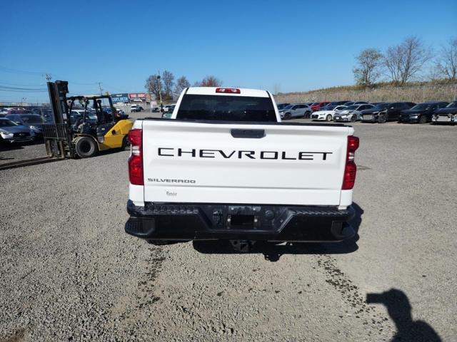 Photo 10 VIN: 3GCNYAEH7KG292148 - CHEVROLET SILVERADO 