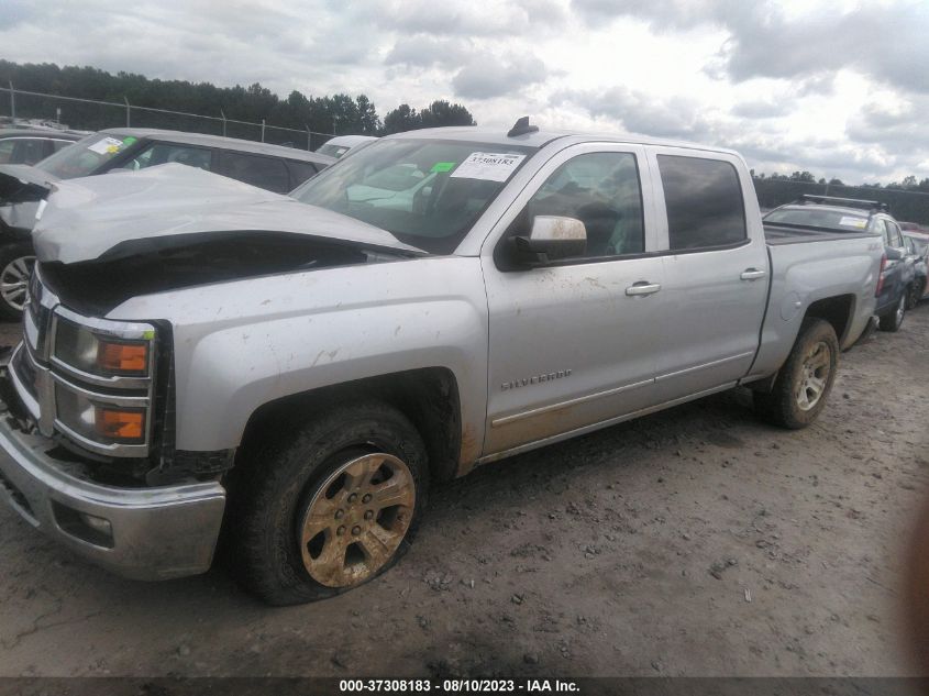 Photo 13 VIN: 3GCPCREC0FG144066 - CHEVROLET SILVERADO 