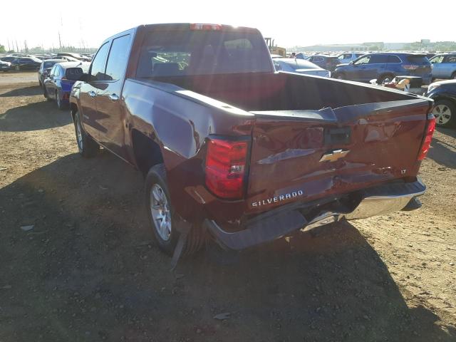 Photo 2 VIN: 3GCPCREC0GG179594 - CHEVROLET SILVERADO 