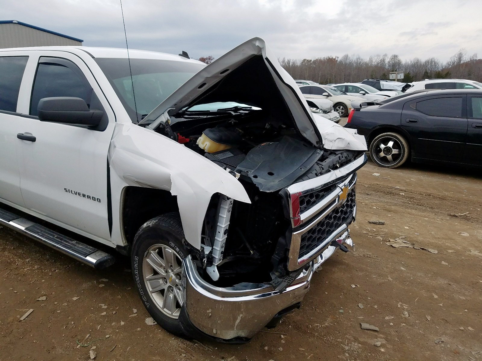 Photo 8 VIN: 3GCPCREC9EG145697 - CHEVROLET SILVERADO 