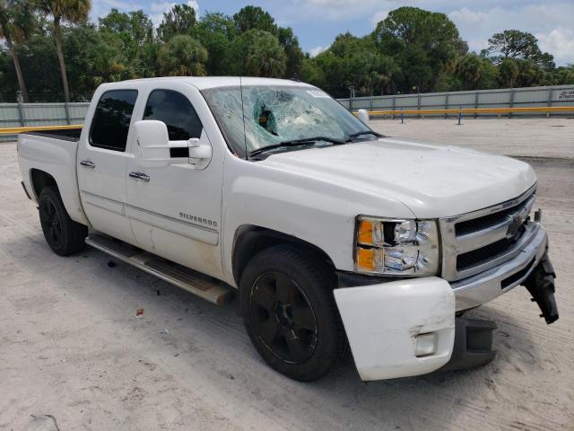 Photo 3 VIN: 3GCPCSE01BG209093 - CHEVROLET SILVERADO 