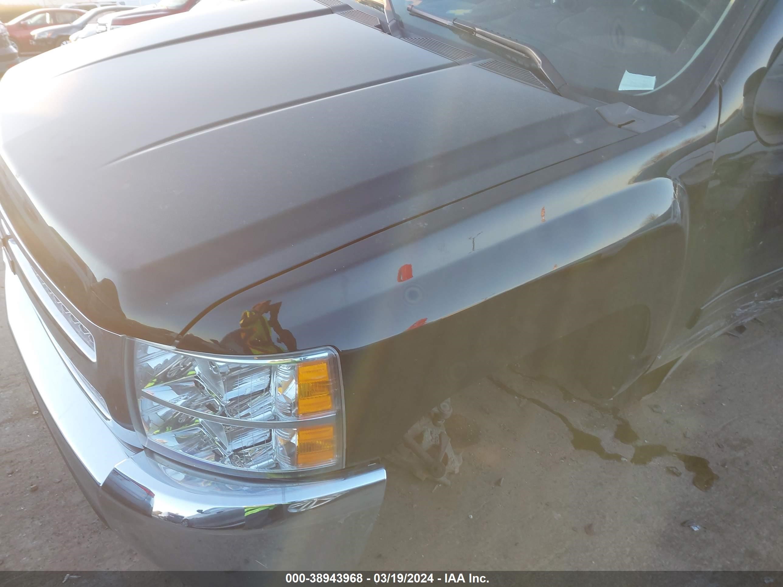 Photo 16 VIN: 3GCPCSE01DG230870 - CHEVROLET SILVERADO 