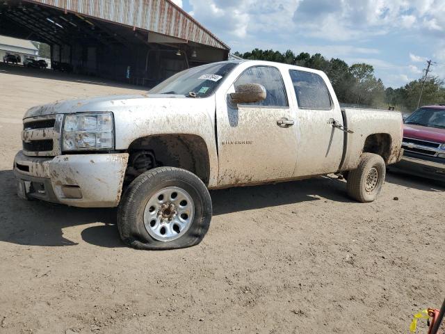 Photo 0 VIN: 3GCPCSE03BG254228 - CHEVROLET SILVERADO 