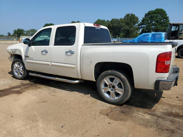 Photo 1 VIN: 3GCPCSE04DG349058 - CHEVROLET SILVERADO 