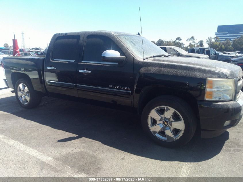 Photo 13 VIN: 3GCPCSE07BG249209 - CHEVROLET SILVERADO 