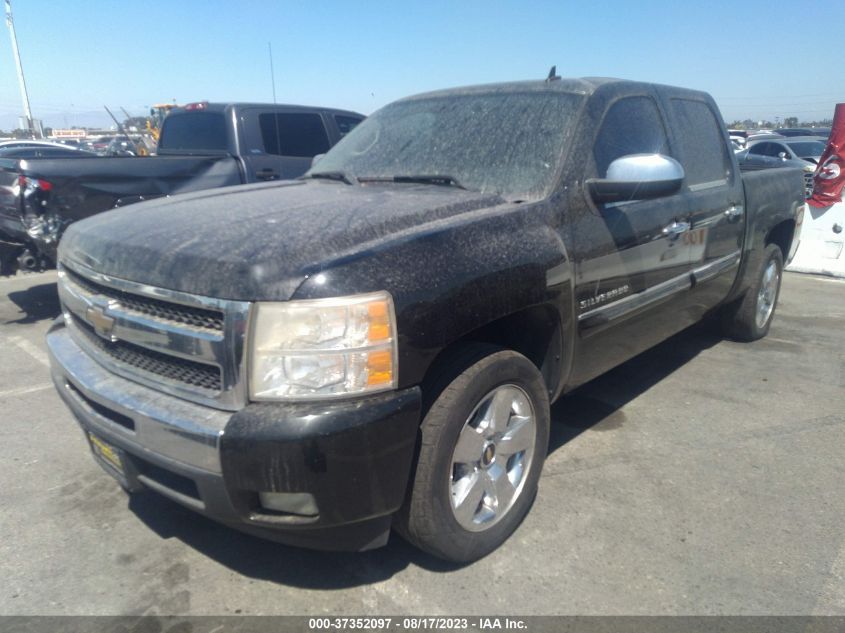 Photo 14 VIN: 3GCPCSE07BG249209 - CHEVROLET SILVERADO 