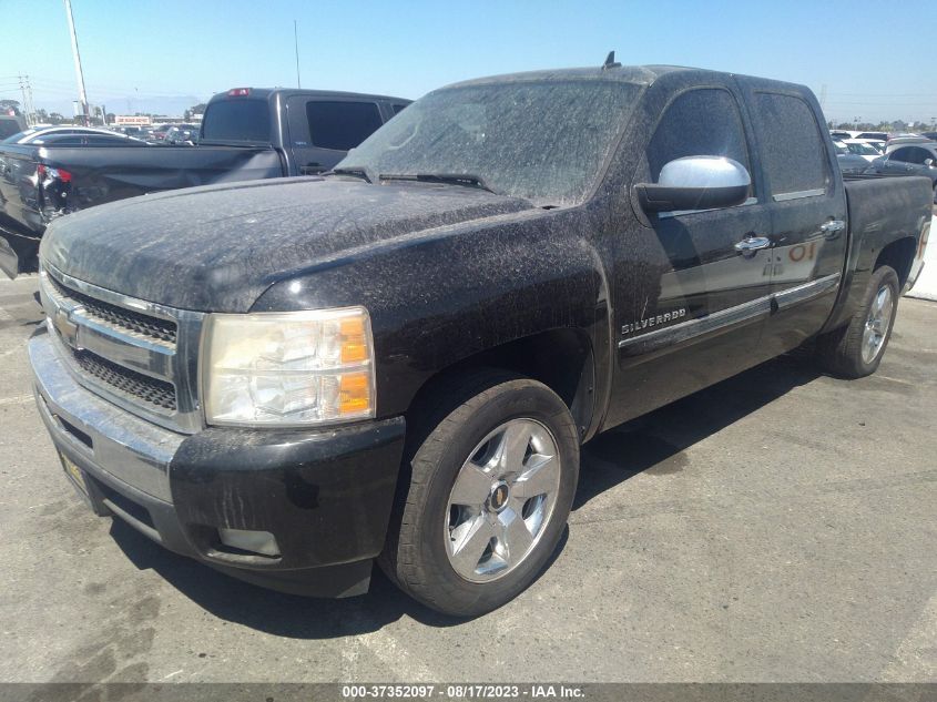 Photo 2 VIN: 3GCPCSE07BG249209 - CHEVROLET SILVERADO 