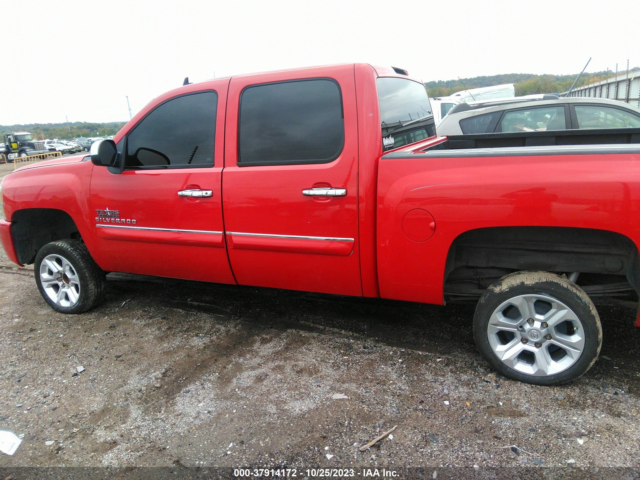 Photo 13 VIN: 3GCPCSE09BG341499 - CHEVROLET SILVERADO 