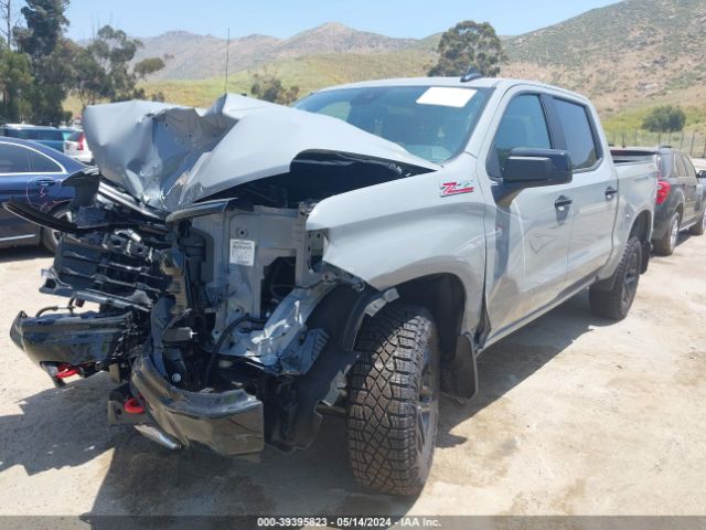 Photo 1 VIN: 3GCPDFEK7RG250795 - CHEVROLET SILVERADO 1500 