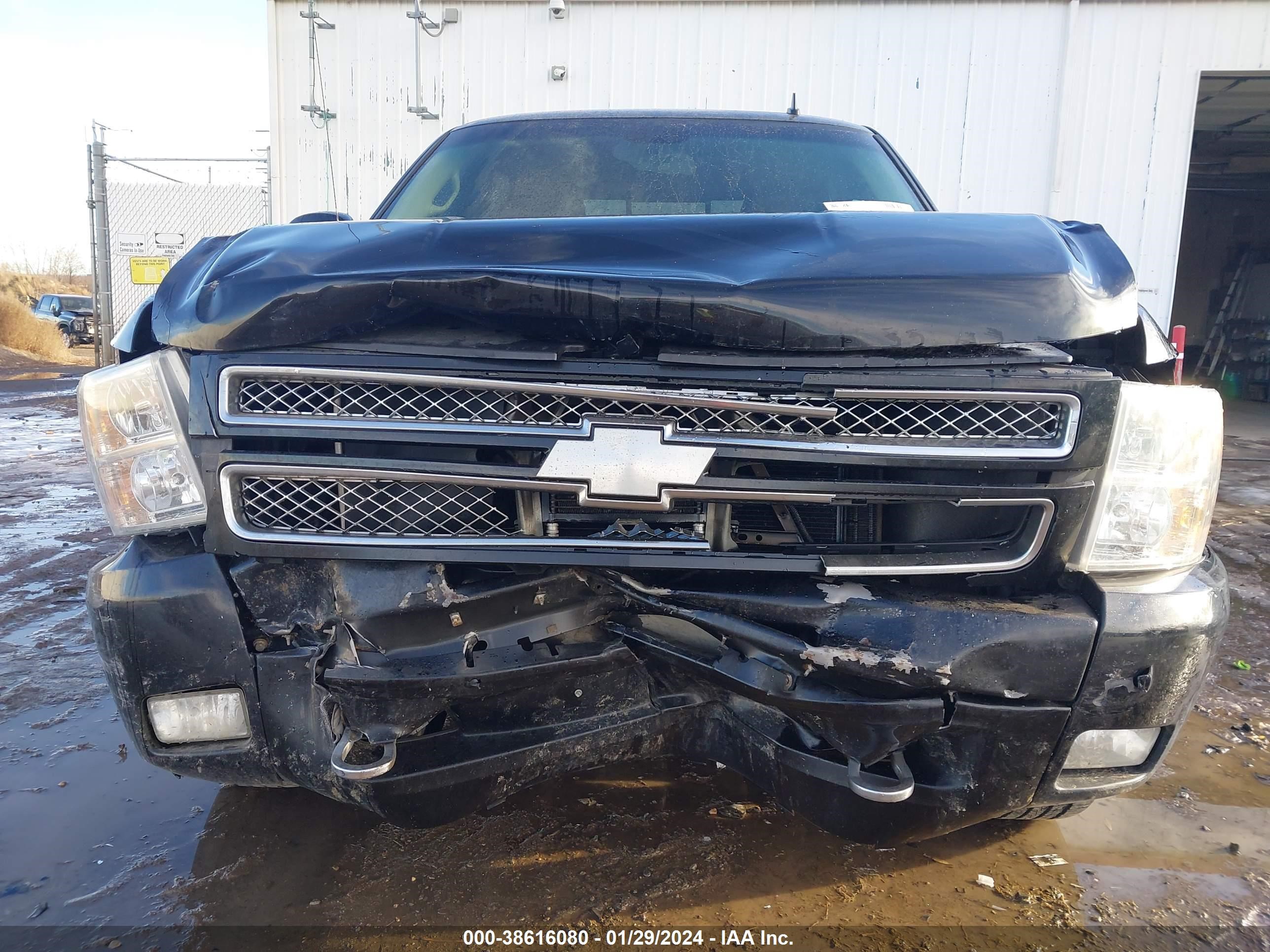 Photo 11 VIN: 3GCPKSE71CG305940 - CHEVROLET SILVERADO 