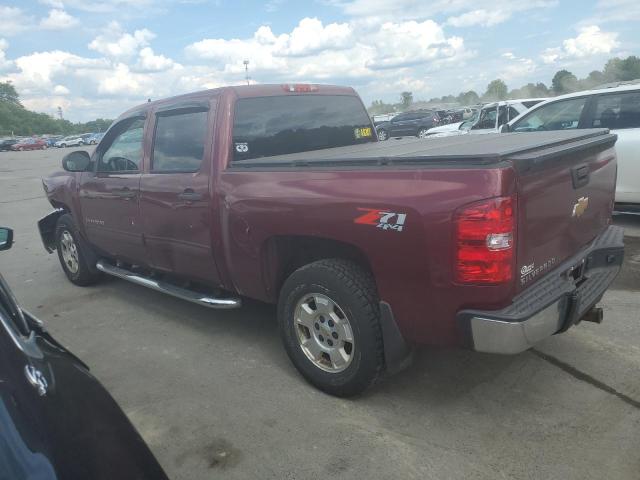 Photo 1 VIN: 3GCPKSE76DG102656 - CHEVROLET SILVERADO 