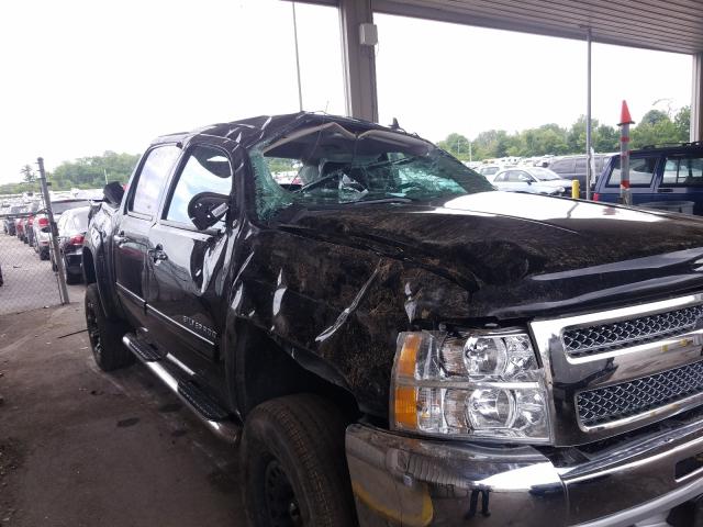 Photo 8 VIN: 3GCPKSE78DG159201 - CHEVROLET SILVERADO 