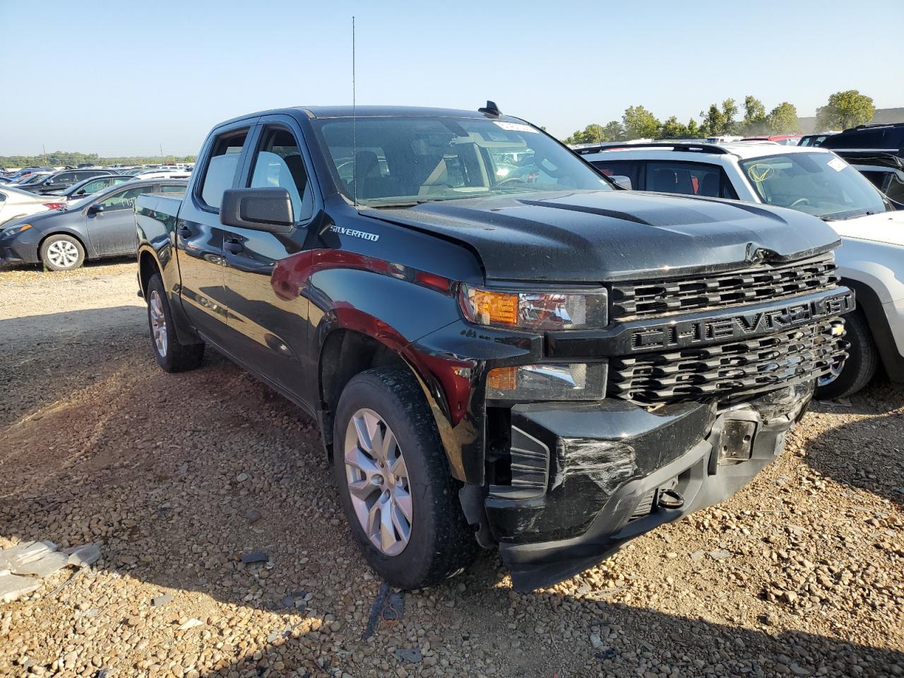 Photo 3 VIN: 3GCPYBEH7LG351893 - CHEVROLET SILVERADO 