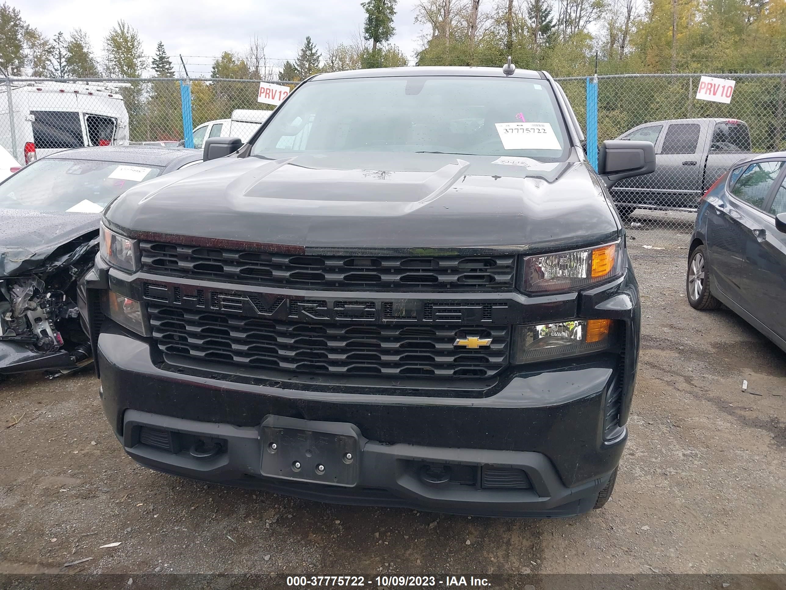 Photo 11 VIN: 3GCPYBEK5MG259324 - CHEVROLET SILVERADO 