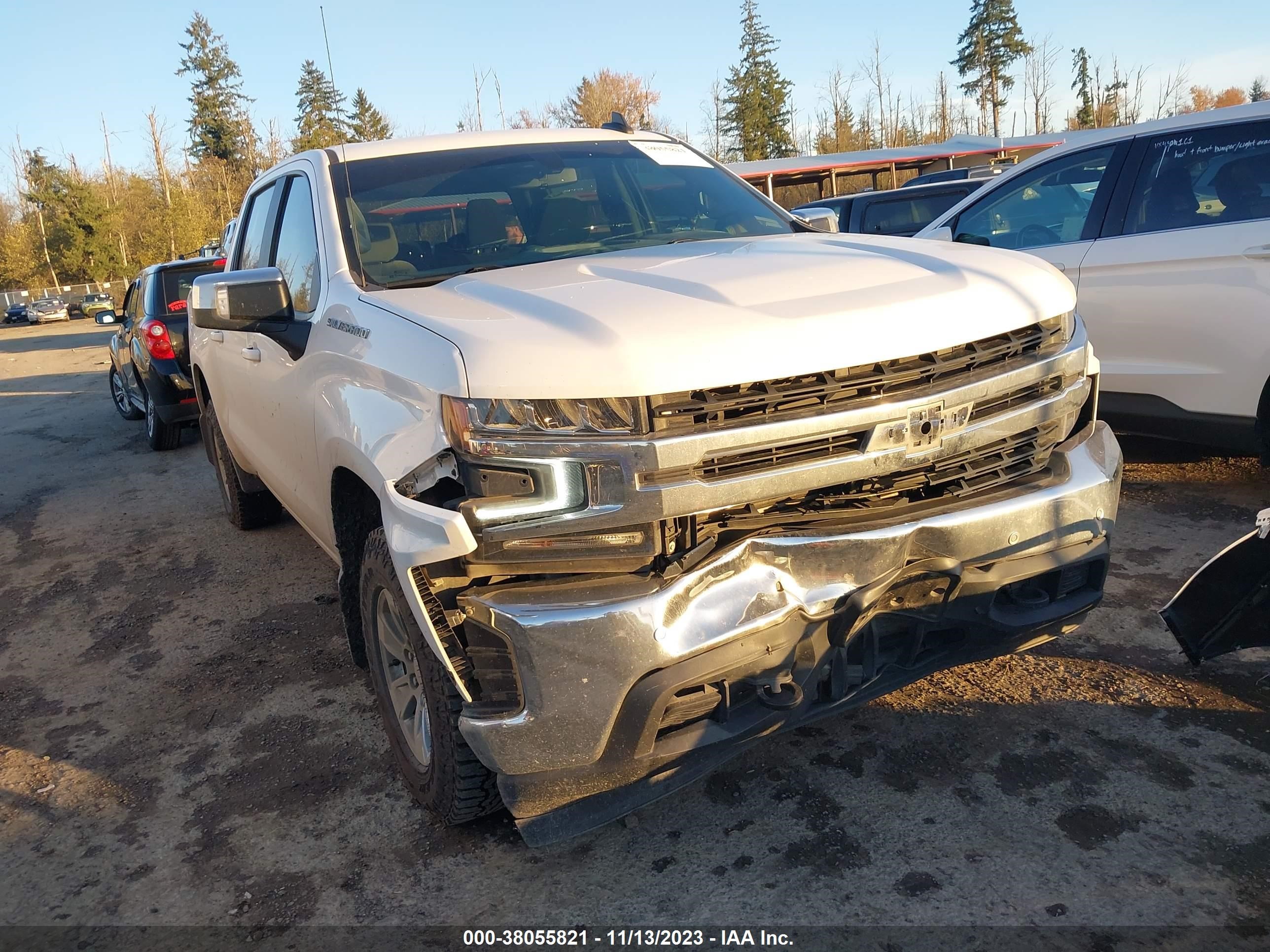 Photo 0 VIN: 3GCPYDEK4MG228058 - CHEVROLET SILVERADO 