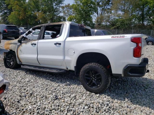 Photo 1 VIN: 3GCPYFED0LG316259 - CHEVROLET SILVERADO 