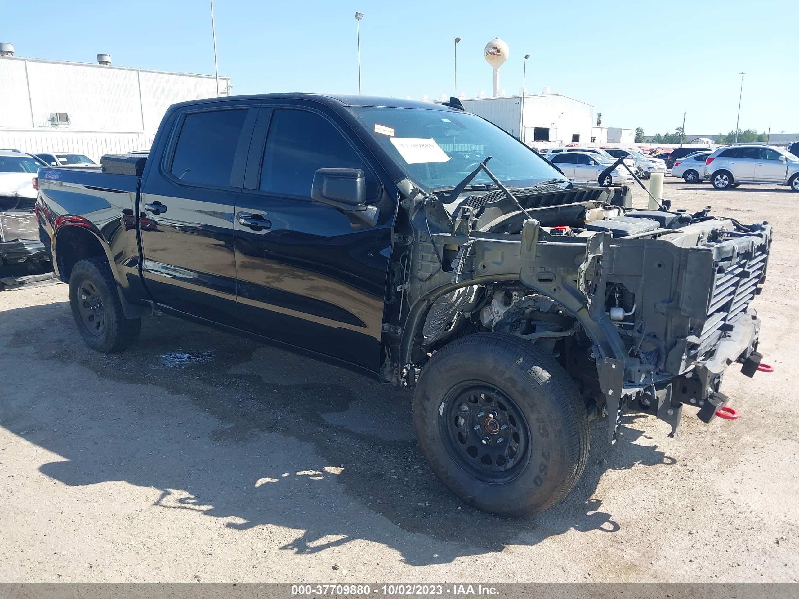 Photo 0 VIN: 3GCPYFED2LG117309 - CHEVROLET SILVERADO 