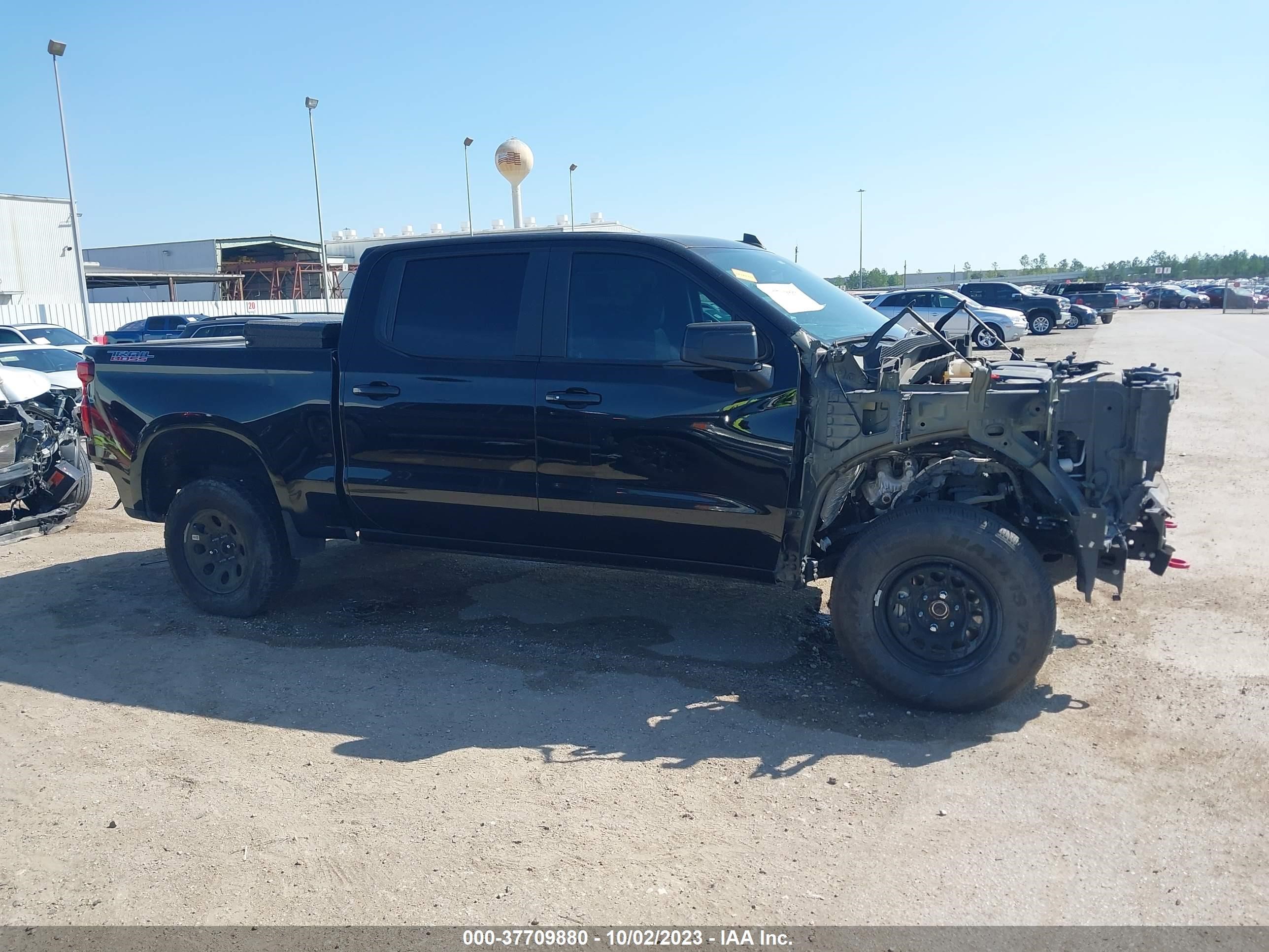 Photo 12 VIN: 3GCPYFED2LG117309 - CHEVROLET SILVERADO 