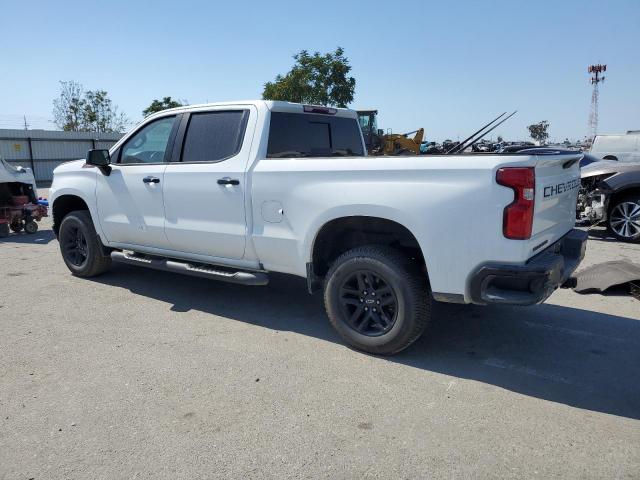 Photo 1 VIN: 3GCPYFED4LG429440 - CHEVROLET SILVERADO 