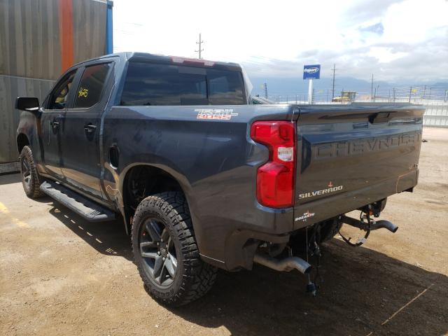 Photo 2 VIN: 3GCPYFED5LG239775 - CHEVROLET SILVERADO 