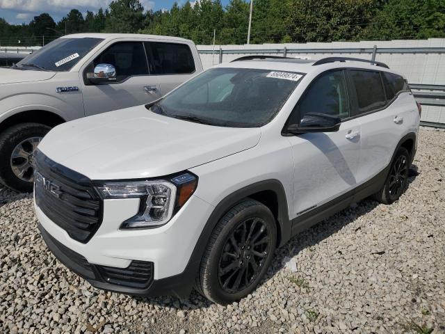 Photo 0 VIN: 3GKALMEG3RL102213 - GMC TERRAIN SL 