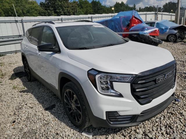 Photo 3 VIN: 3GKALMEG3RL102213 - GMC TERRAIN SL 