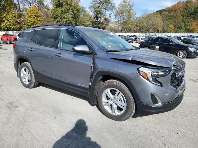 Photo 3 VIN: 3GKALMEV2LL289286 - GMC TERRAIN SL 