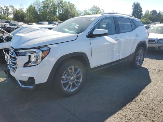 Photo 0 VIN: 3GKALPEG0RL194320 - GMC TERRAIN SL 