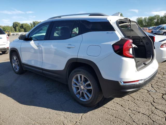 Photo 1 VIN: 3GKALPEG0RL194320 - GMC TERRAIN SL 