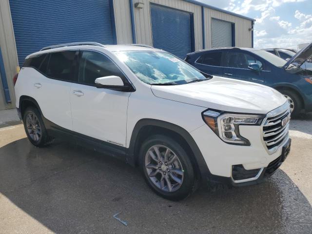 Photo 3 VIN: 3GKALPEG2PL161560 - GMC TERRAIN SL 