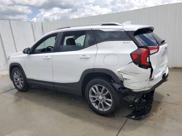 Photo 1 VIN: 3GKALPEG7RL170287 - GMC TERRAIN 