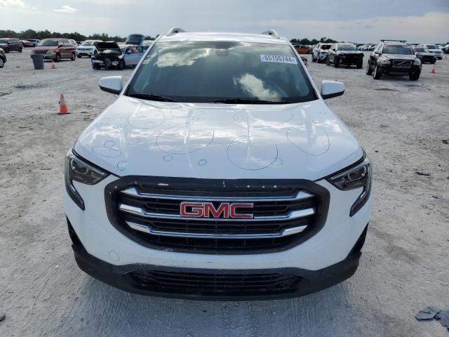 Photo 4 VIN: 3GKALPEV2LL250408 - GMC TERRAIN SL 