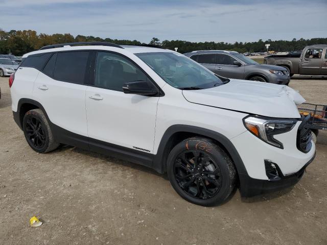 Photo 3 VIN: 3GKALPEV4ML349863 - GMC TERRAIN SL 