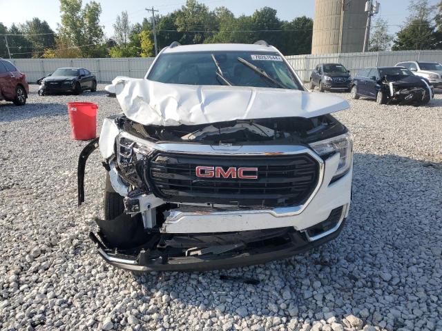 Photo 4 VIN: 3GKALTEGXPL269756 - GMC TERRAIN SL 