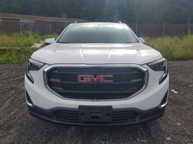 Photo 4 VIN: 3GKALTEVXML388482 - GMC TERRAIN 