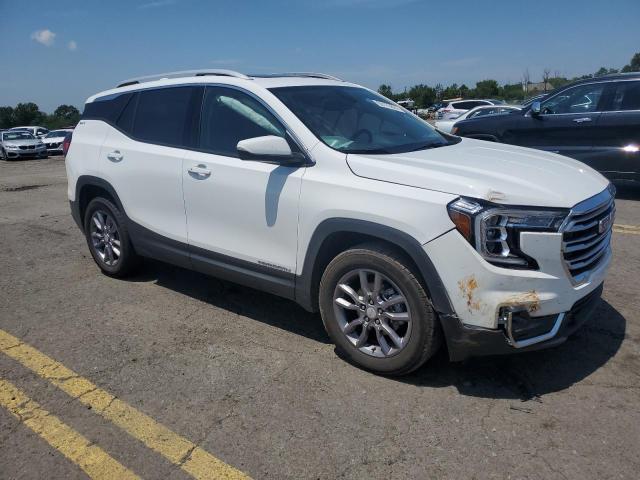 Photo 3 VIN: 3GKALVEG3PL132976 - GMC TERRAIN SL 