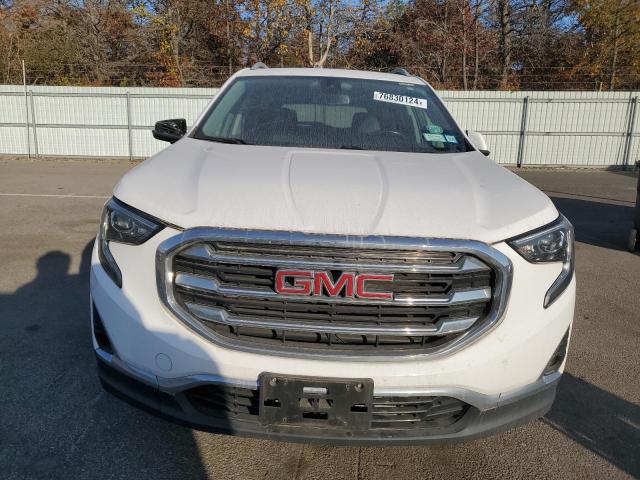 Photo 4 VIN: 3GKALVEV2LL230664 - GMC TERRAIN SL 