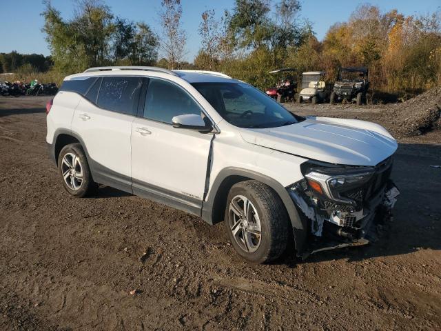 Photo 3 VIN: 3GKALVEV2ML301704 - GMC TERRAIN SL 