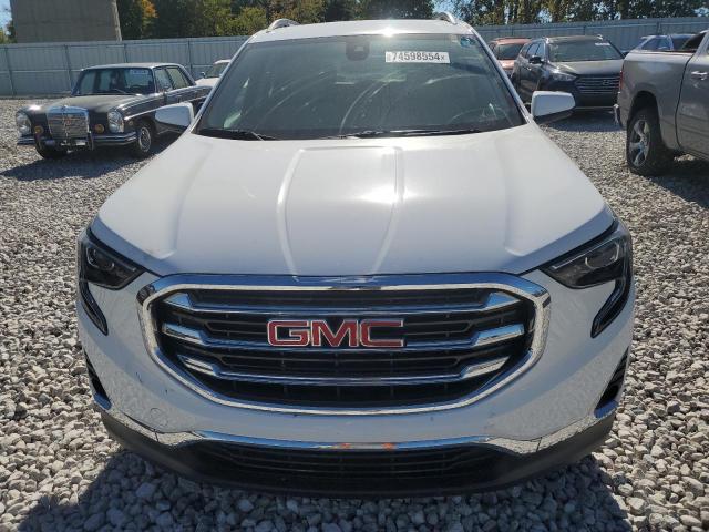 Photo 4 VIN: 3GKALVEVXML331517 - GMC TERRAIN SL 