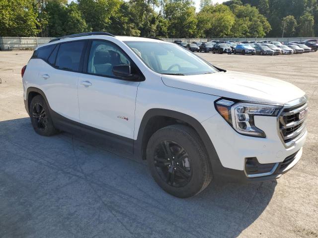 Photo 3 VIN: 3GKALYEG6PL175080 - GMC TERRAIN SL 