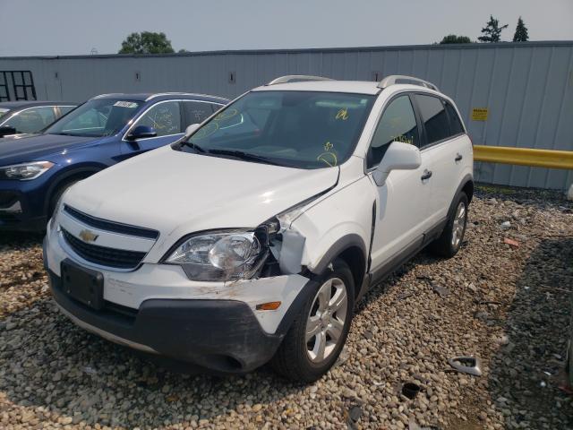 Photo 1 VIN: 3GNAL2EK9DS615802 - CHEVROLET CAPTIVA 