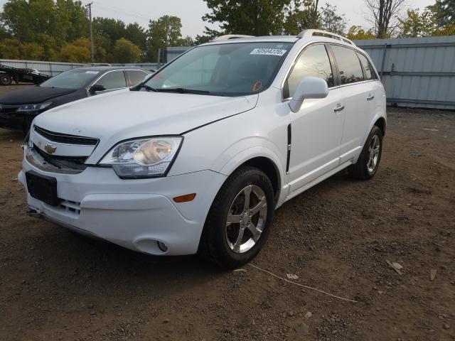 Photo 1 VIN: 3GNAL3E54CS597546 - CHEVROLET CAPTIVA 