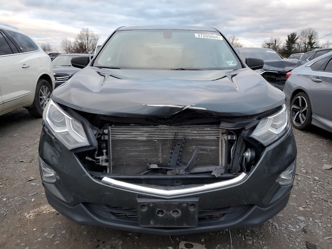 Photo 4 VIN: 3GNAXHEV7KS646285 - CHEVROLET EQUINOX 